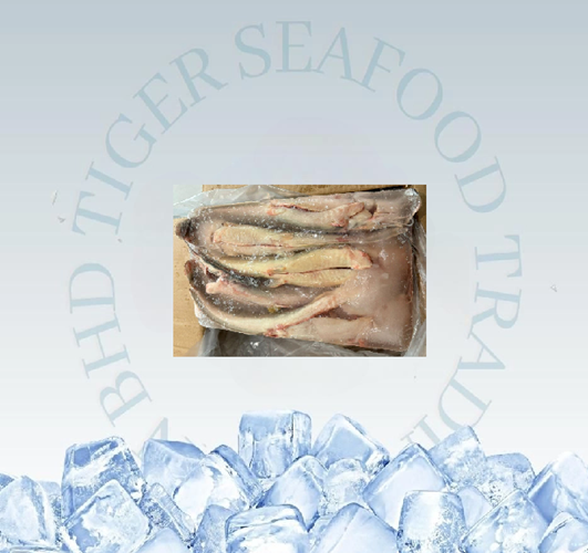 IKAN KELI 2KG