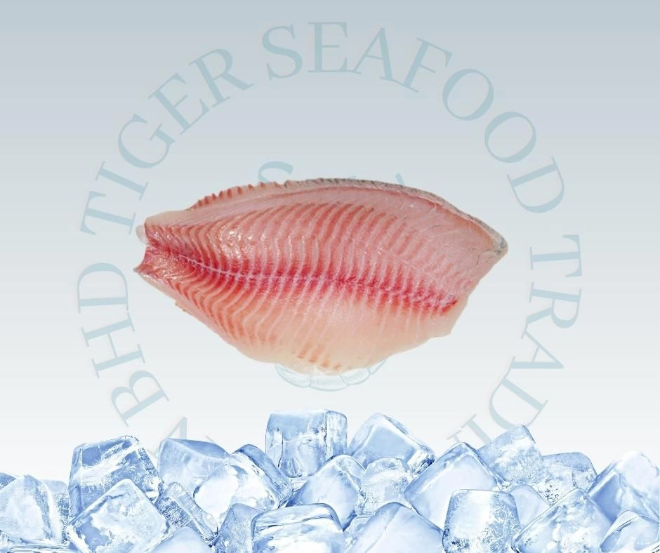 TILAPIA FILLET