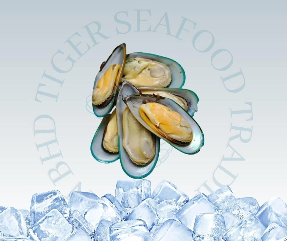 Half Shell Green Mussel 907G