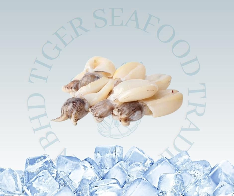 Baby Cuttlefish 250G